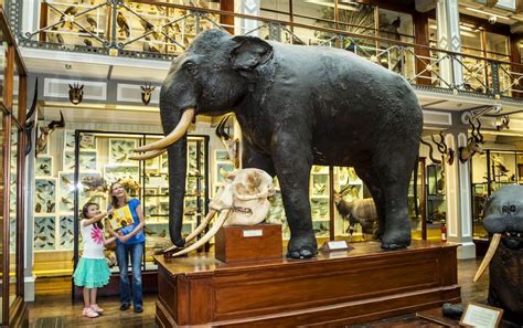 These Are the Best Museums in Ireland to Visit with Kids