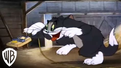 Tom and Jerry Greatest Chases | Volume 3 | Mouse Trap | Warner Bros. Entertainment - YouTube