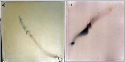 -2-D TLC from fractions 5 (a) and 3 (b) obtained from M.tuberculosis.... | Download Scientific ...