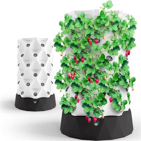 Buy Nutraponics Hydroponics Growing System for Indoor Gardening ...