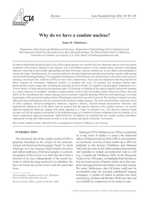 (PDF) Why do we have a caudate nucleus? · Caudate nucleus function 97 any hormonal changes. The ...