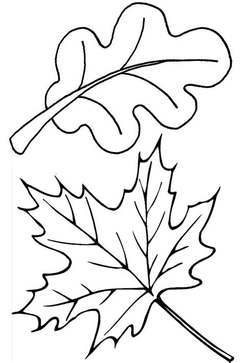 Thanksgiving Leaves Coloring Pages at GetColorings.com | Free printable ...