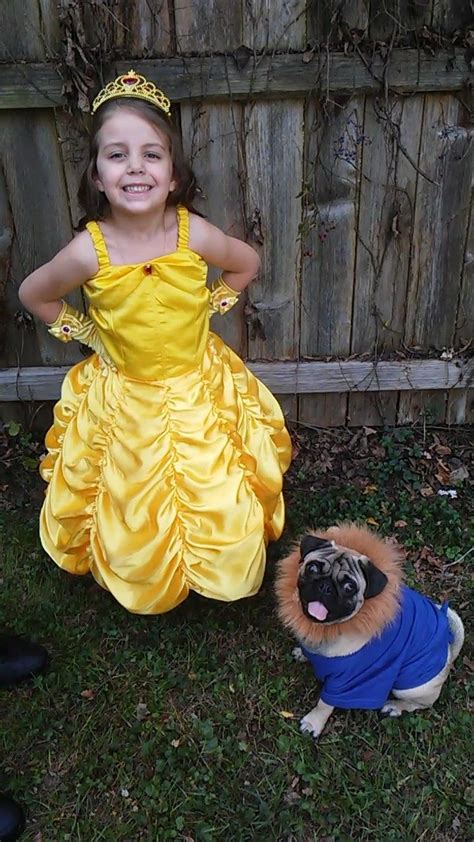 Beauty and the Beast pug dog halloween costume | Dog halloween costumes ...