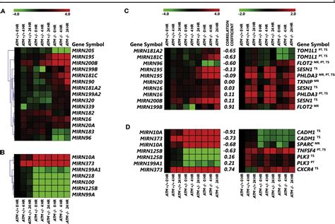 Figure 2 from ATM gene mutations result in both recessive and dominant expression phenotypes of ...