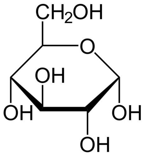 Glucose and ATP | CK-12 Foundation