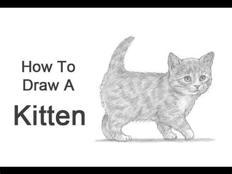 How To Draw A Kitten