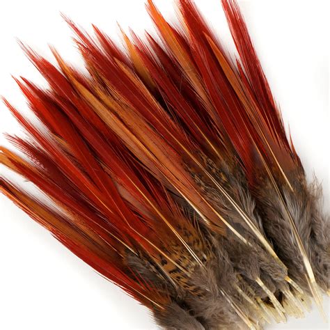 Golden Pheasant Feathers, 4-6 Natural Pheasant Red Tip Loose Feathers ...
