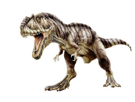 Giganotosaurus | Extinct Animals