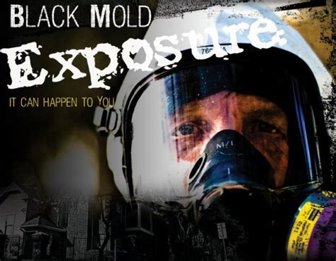 Toxic Black Mold Symptoms, Test, Removal & Health Effects