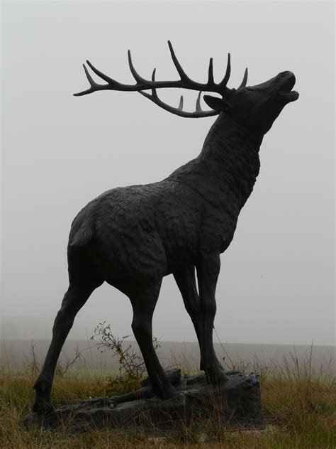 Free Images : fog, wildlife, horn, mammal, fauna, sculpture, pipe, cast iron, hirsch, cervidae ...