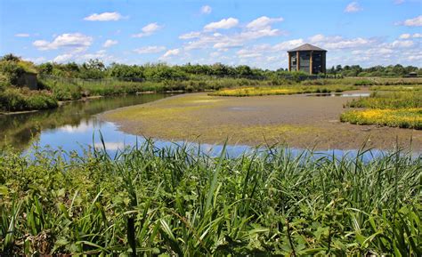 Pirkan retkiblogi: 8.6.2014 - London Wetland Centre