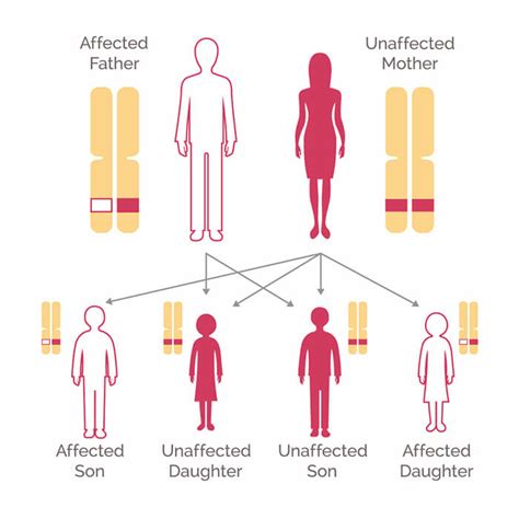 Genetic Testing for Breast Cancer - National Breast Cancer Foundation