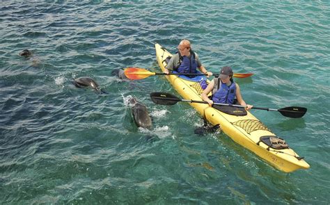 Galápagos: The Best Wildlife Encounter | Classic Journeys