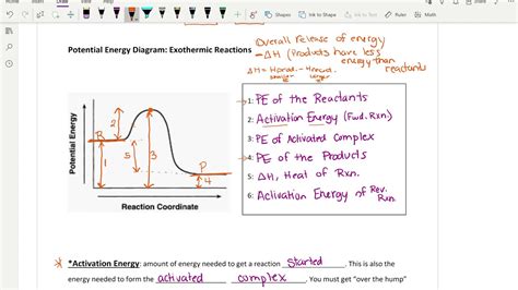 RChem Unit 7 Obj. 5 Potential Energy Diagrams - YouTube