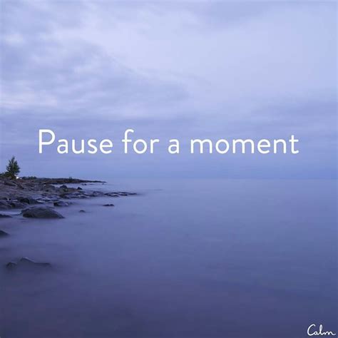 Pause for a moment Paused, Looking Up, Uplift, Meditation, Mindfulness, In This Moment ...