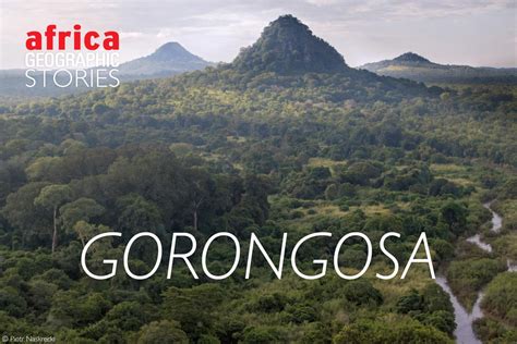 The restoration of Gorongosa National Park - Africa Geographic