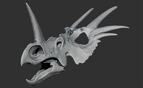 Raul Ramos - Creative Beasts Studio Styracosaurus Skull