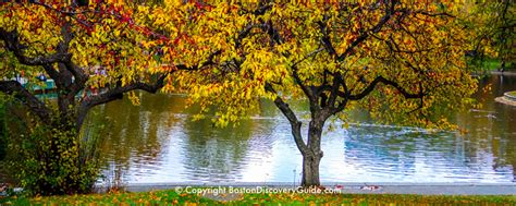 Boston Fall Foliage 2022 - 10 Best Places to See It - Boston Discovery ...