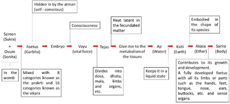 Flow Chart of Human Evolution (Source: Primary) | Download Scientific Diagram