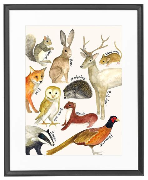 Woodland Painting, British Animals, Countryside Painting, Nursery Print, Kids Room, Educational ...