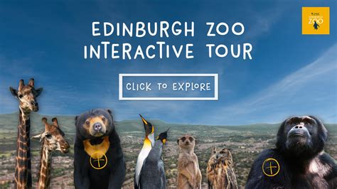 Edinburgh Zoo Interactive Video Tour | Vimeo | Case Study