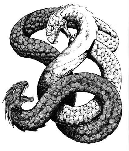 Amphisbaena Greek mythological ant-eating serpent with a head at each ...