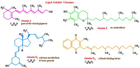 Lipids In Plants - Plants BC