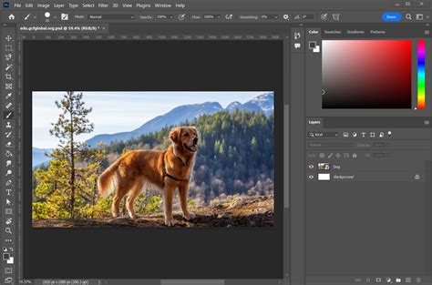 Photoshop Basics: Getting to Know the Photoshop Interface