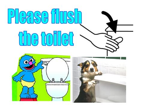 Flush Toilet Sign for Kids