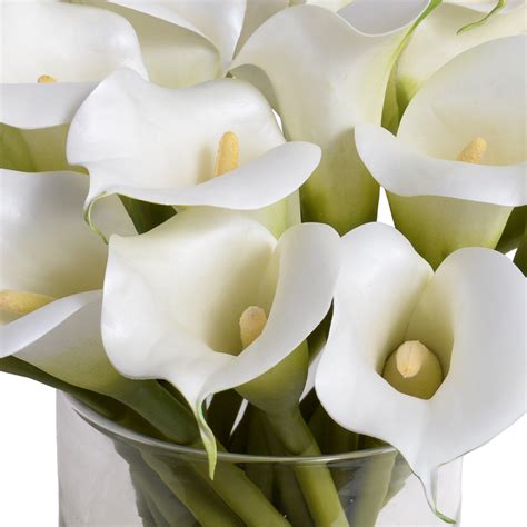 Calla Lily Arrangement in Glass - White – New Growth Designs