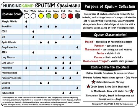 Sputum Collection Data Sheet! nursingkamp.com Nursing School Resources ...