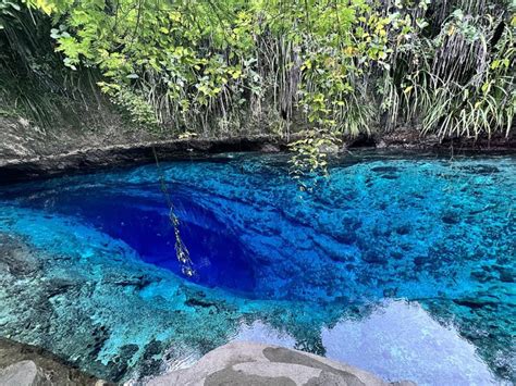 Top 10 Amazing Facts about Hinatuan Enchanted River - Discover Walks Blog