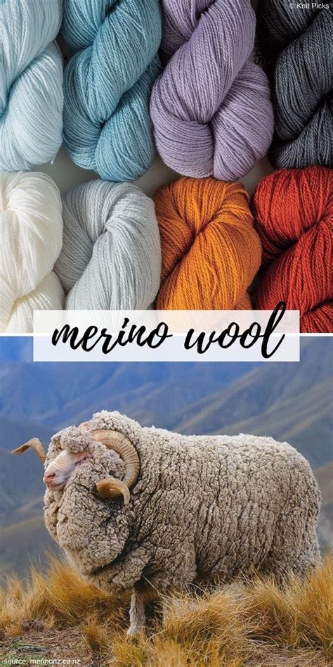 Merino Wool - Types of Yarn - Article by Crochetpedia | Animal fibres ...