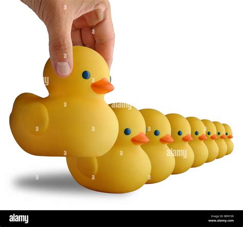 Get your ducks in a row Stock Photo - Alamy