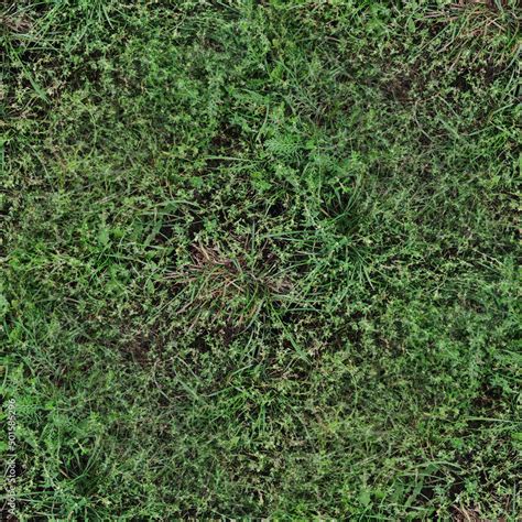 green grass texture, seamless forest textures. Stock Photo | Adobe Stock