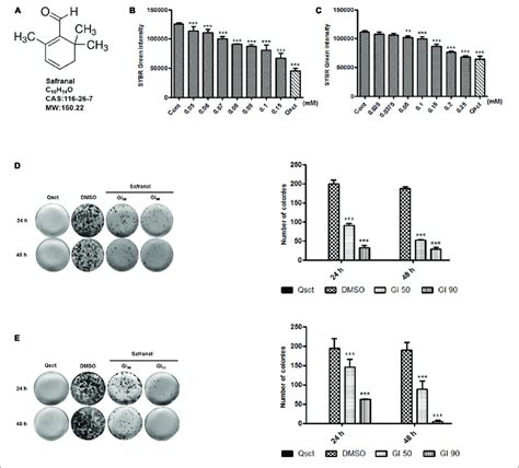 | Safranal inhibits DNA synthesis and re-proliferation following ...