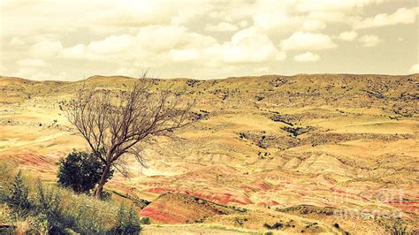 The desert mountains of Transcaucasia Photograph by Yavor Mihaylov ...