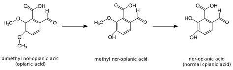 Homologous Series of Alkanes, Alkenes and Alkynes with Examples