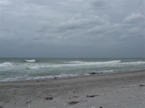 Beach, Longboat Key, Florida, November 9, 2009