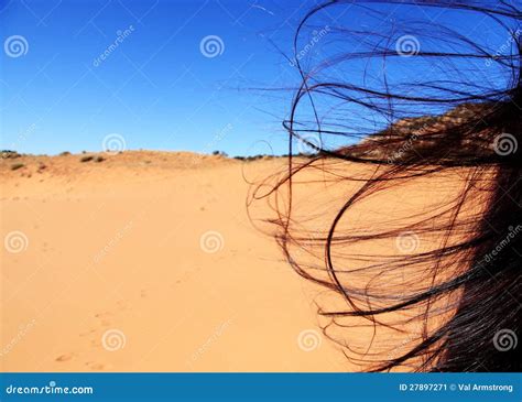 Desert Wind stock image. Image of dune, dunes, oudoors - 27897271