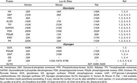 Acetylation and glucose metabolism | Download Table