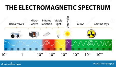 The Electromagnetic Spectrum Vector Diagram Stock Images - Image: 33625774