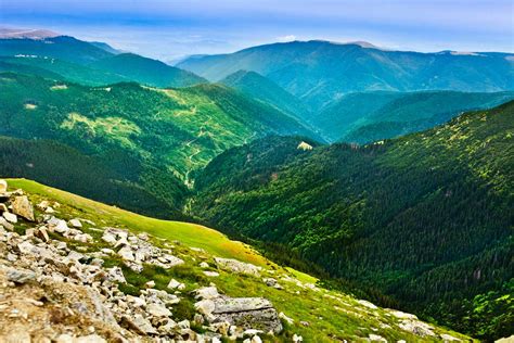 Visit Romania’s Carpathian Mountains and discover the wildlife and amazing landscapes