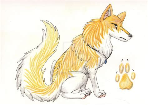 Golden Wolf by WolfWhisperer123 on DeviantArt