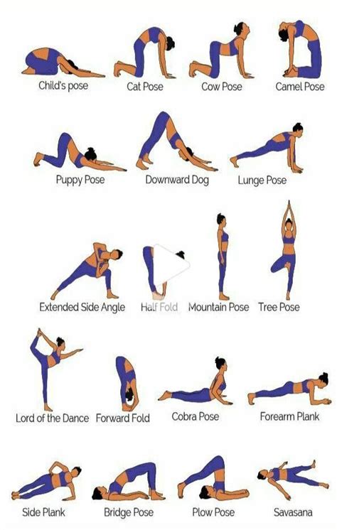 4 yoga poses for balance and strength for elders | Yoga balance poses ...