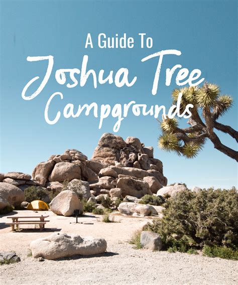 A Guide to Joshua Tree Campgrounds - Nattie on the Road