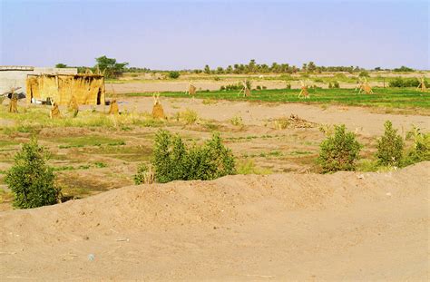 Rural landscape in Sudan Photograph by Marek Poplawski - Fine Art America