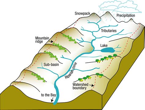 Watershed Diagram River Talk