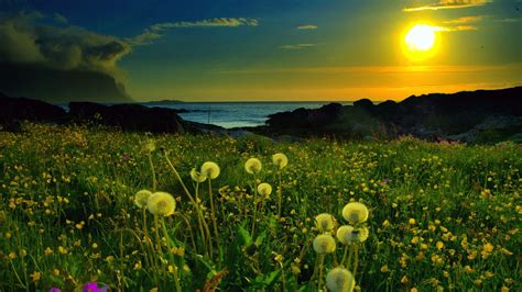 Spring Sunset Wallpapers - Wallpaper Cave