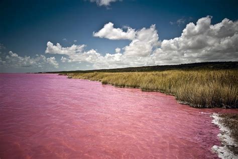 Lake Retba aka "The Pink Lake", Senegal photo on Sunsurfer